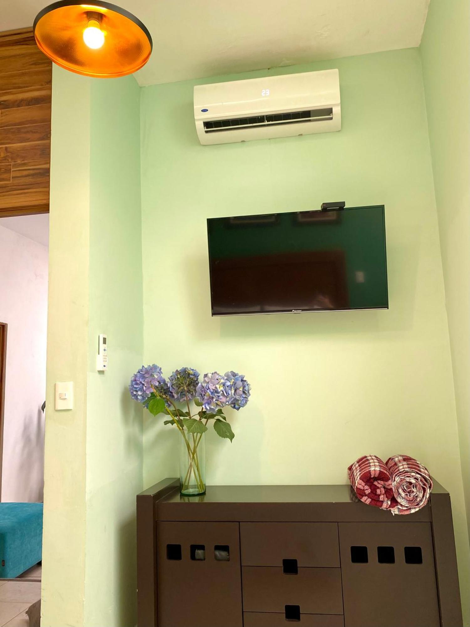 Casa La Vikina Holiday home Guanajuato